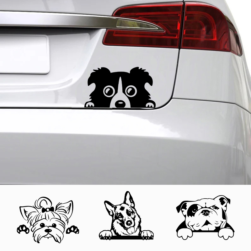Xe Ô Tô Accessorie Đề Can Chú  - đánh giá và giá Laptop Accessories Name